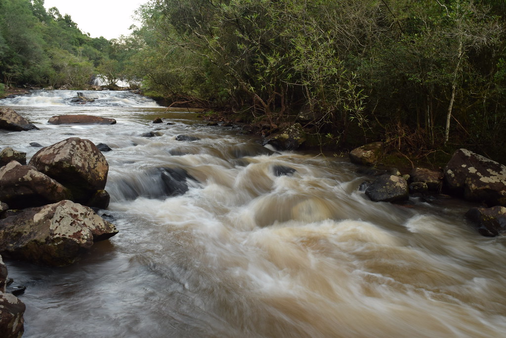 bioeconomía misiones